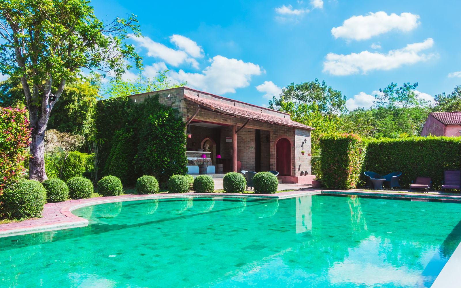 pool & landscaping services in Abu Dhabi